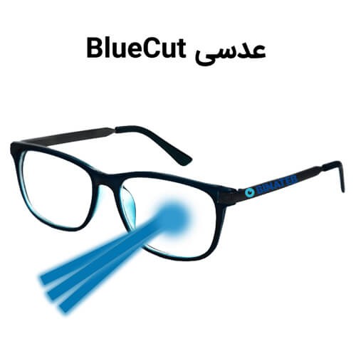 Blue Cut Glasses
