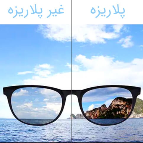 Polarized Glasses