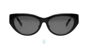 فریم عینک آفتابی DIOR زنانه با شکل مستطیل به رنگ مشکی و کد DR-B1F
